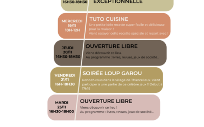 Programme EVS du mois de novembre (partie 2)