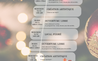 Programme EVS du mois de décembre