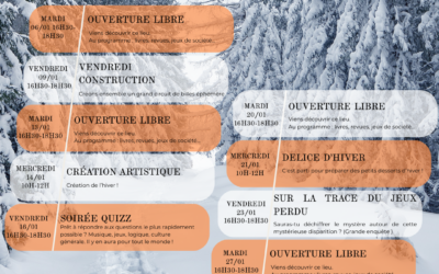 Programme EVS du mois de janvier