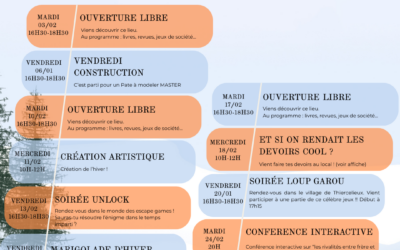 Programme EVS du mois de FEVRIER
