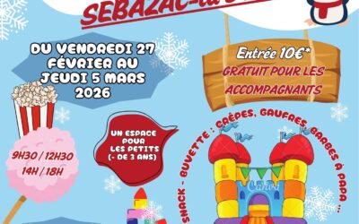 PARC DE JEUX GONFLABLES