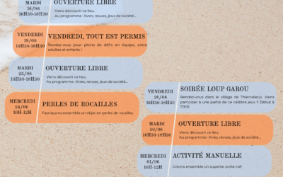 Programme EVS du mois de JUIN et JUILLET